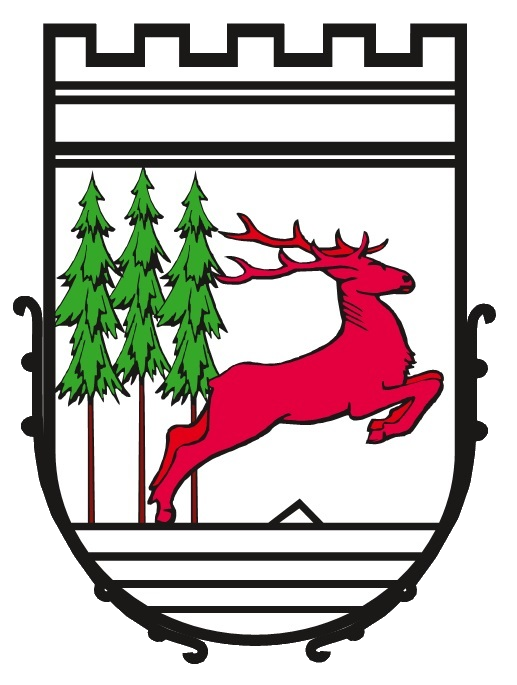 footer_logo